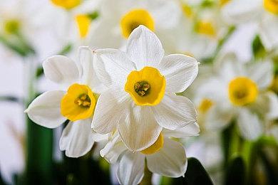 Fami通新一周销量榜 《实况力量棒球2024-2025》五连冠